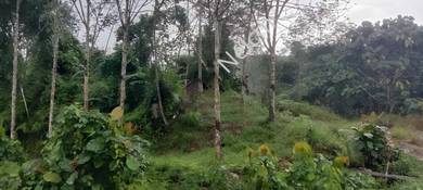 Agricultural Land in Penampang, SBH