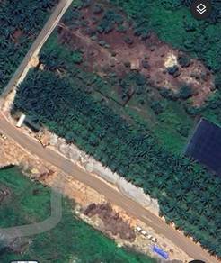 Agricultural Land in Klang, SGR