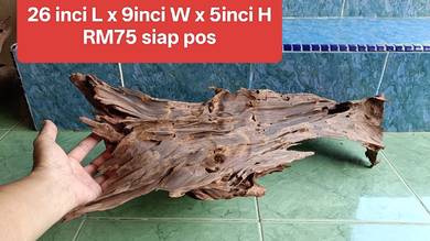 Pure Malaysian Driftwood kayu hiasan