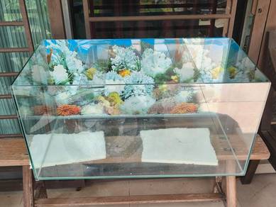 Fish Tank - 2.5 feet (30 X15 X 15 inch)