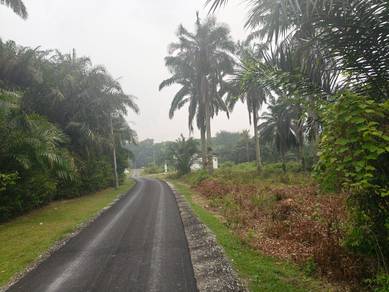 Commercial Land in Jasin, MLK