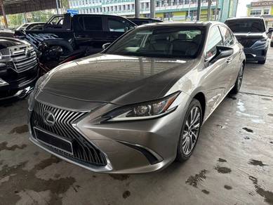 2019 Lexus ES 250 LUXURY