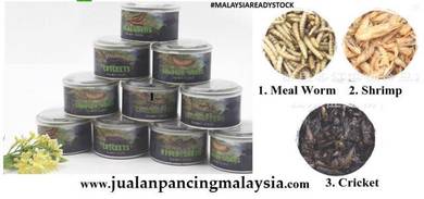 UMPAN LIVE BAIT TIN 70g