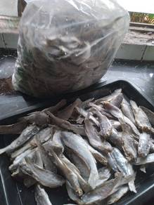 ikan gelama kering 1kg