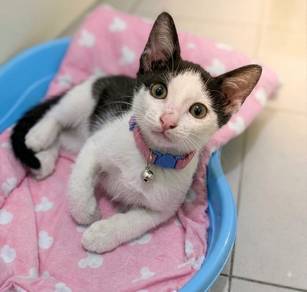 My name is DOLLY ☺️ Ipoh