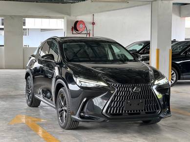 Lexus NX 250 LUXURY in Bandar Mahkota Cheras, SGR