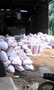 Sekam padi kuning untuk lapik ayam ternakan
