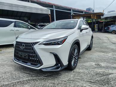 Lexus NX 250 LUXURY in Cheras, KUL