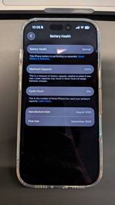 Apple iPhone 17 Pro 256 GB (100% Battery Health)