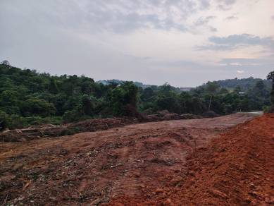 Agricultural Land in Mentakab, PHG