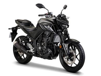 Yamaha MT250