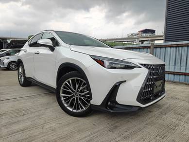 Lexus NX 250 LUXURY in Chan Sow Lin, KUL