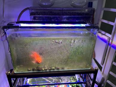 Aquarium set