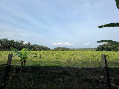 Agricultural Land in Port Dickson, NSN