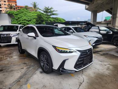 Lexus NX 250 LUXURY in Cheras, KUL