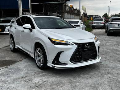 Lexus NX 250 LUXURY in Johor Bahru, JHR