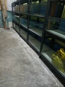 Fish tanks for sale