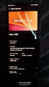 Vivo V30