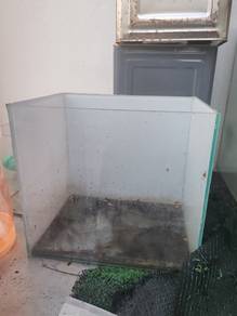 aquarium 1 kaki 