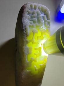 Bongkah Batu Mentah Jadeite Ice Light Green Burma