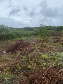 Agricultural Land in Mersing, JHR