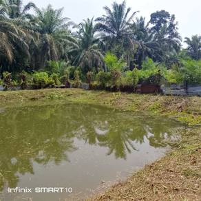 Agricultural Land in Kuala Lipis, PHG