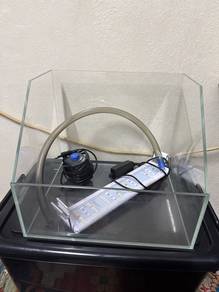 paludarium tank