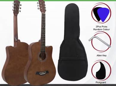 Walnut Acoustic Guitar