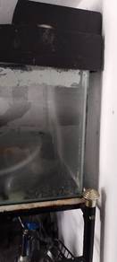 aquarium 4ft