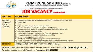 Sales & Marketing Senior Executive