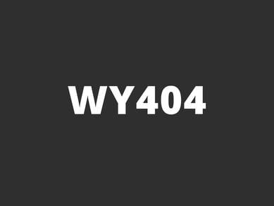 WY404
