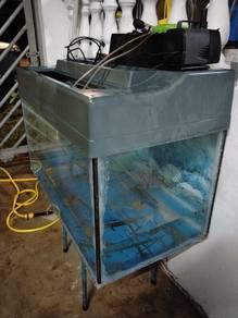 akuarium

3kaki