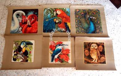 1975 Bird Pictures - W.P Mundy