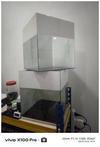 aquarium 1 kaki