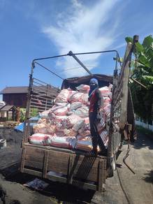 Sekam padi mentah Dan bakar untuk tanaman 5744