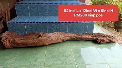 Driftwood kolam fiberglass tank landscape 