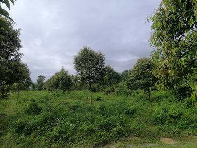 Agricultural Land in Raub, PHG