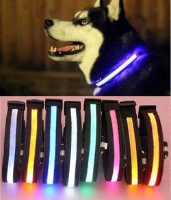 Pet Dog Safety Collar LED Light