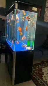 Jualan Upgrade Aquarium 4f untuk di jual