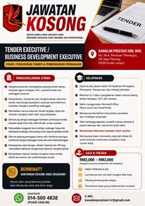 Tender Executive/ Business Development Executive