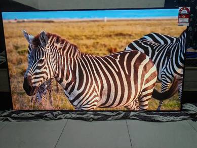 Samsung 55 2024 Crystal UHD Smart tv