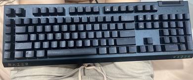 razer blackwidow v4x green