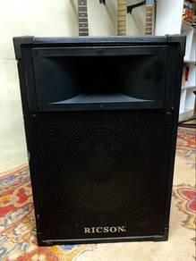 Speaker 12 inch Ricson