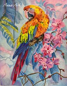 Original Water Colour Hand Drawing - Parrot