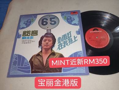 Vintage LP刘文正黑胶碟