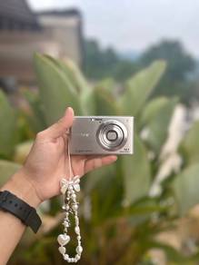 - Sony Cyber-shot DSC-W550 Digital Camera