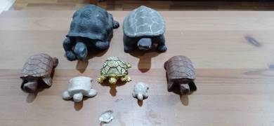 Turtle and tortoise