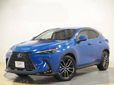 Lexus NX 250 LUXURY in Klang, SGR