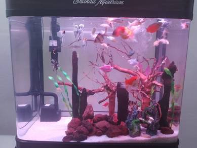 aquarium n ikan full set