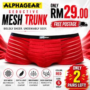 Alphagear Seductive Sheer Mesh Trunk Underwear 